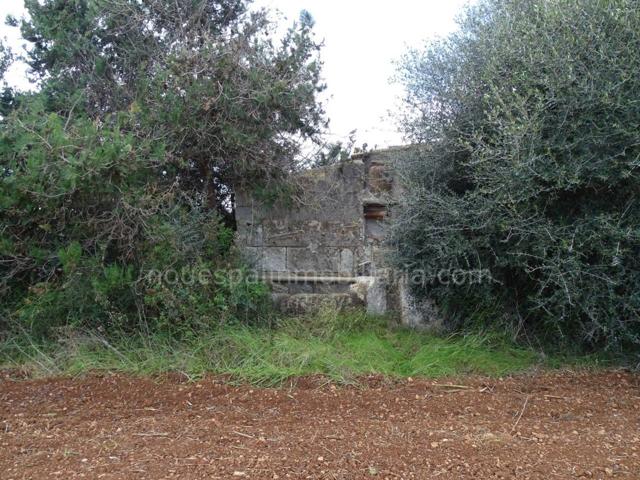 Terreno en venta en Muro photo 0