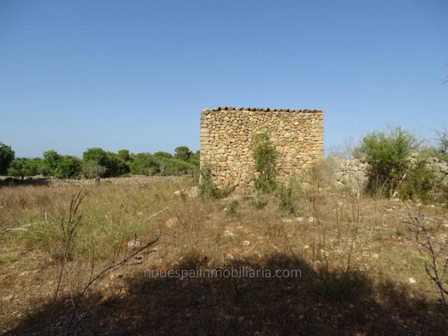 Finca rustica en Costitx photo 0