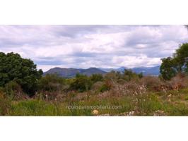 Finca rustica, edificable, Llubí photo 0