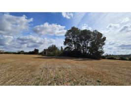 Finca rustica edificable en Lloret de Vistalegre photo 0