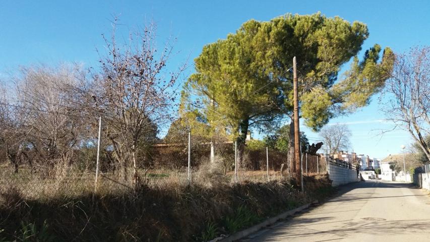 Construye tus sueños en Siétamo, parcelas urbanas desde 500m photo 0