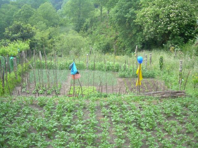 Terreno en venta en Parada de Achas (A Cañiza) photo 0