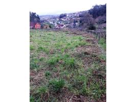 Terreno en venta en Dornelas (Sta. Maria) photo 0