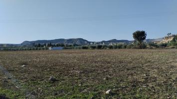 PARCELA RÚSTICA EN CAMPOS DEL RÍO photo 0