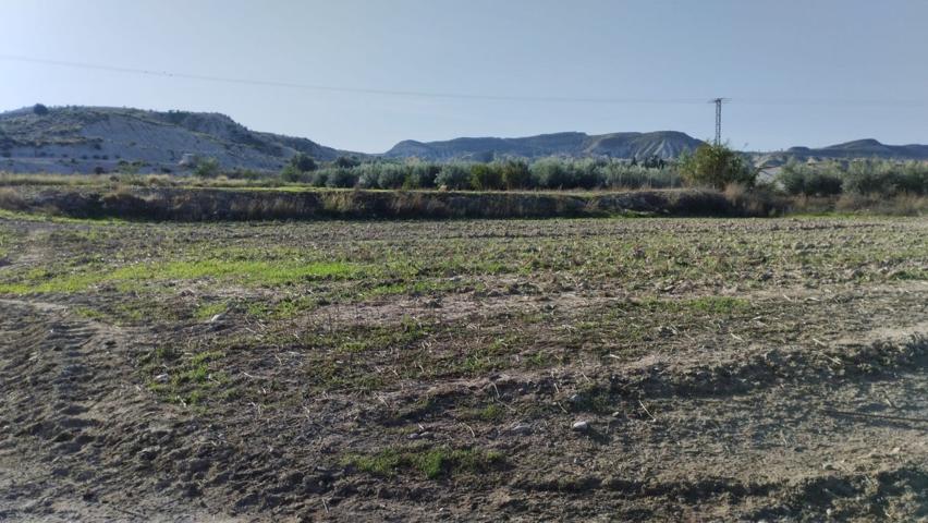 PARCELA RÚSTICA EN CAMPOS DEL RÍO photo 0