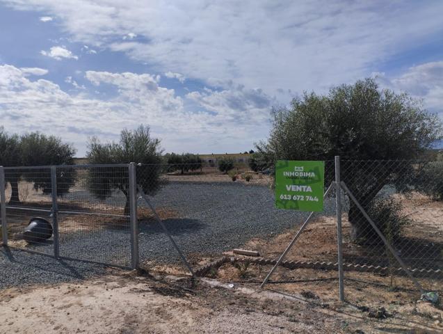 Terreno secano- Condado de Alhama, Alhama de Murcia photo 0
