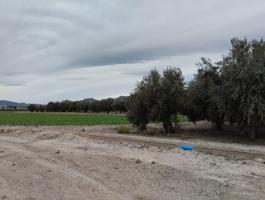 Terreno de Regadío - La Hoya, Lorca photo 0
