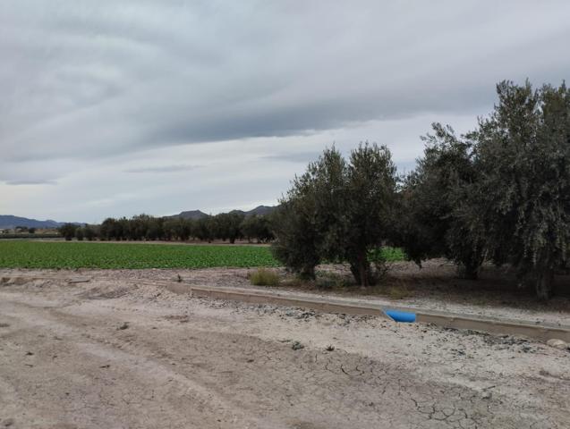 Terreno de Regadío - La Hoya, Lorca photo 0