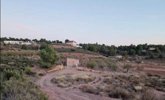 Terreno Agrario - Paraje de las Alquerías photo 0