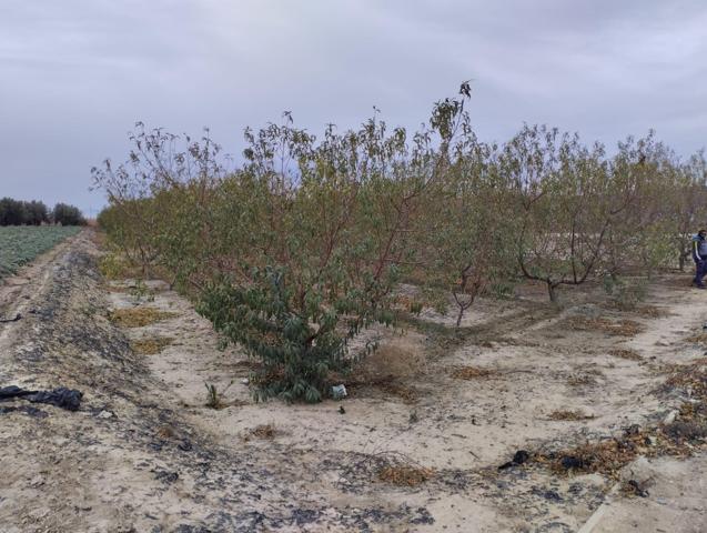 Terreno de Regadío - Lébor, Totana photo 0