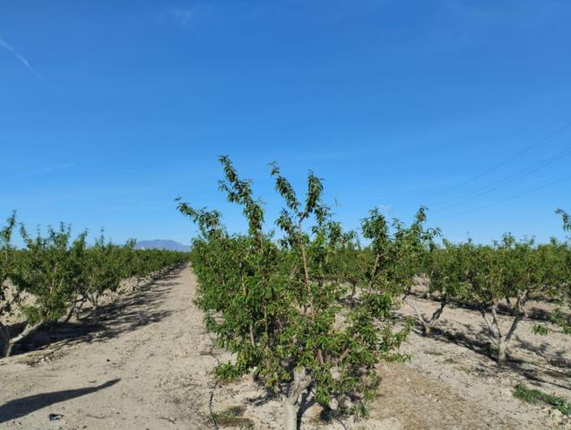 Terreno Agrario - Lébor, Totana photo 0