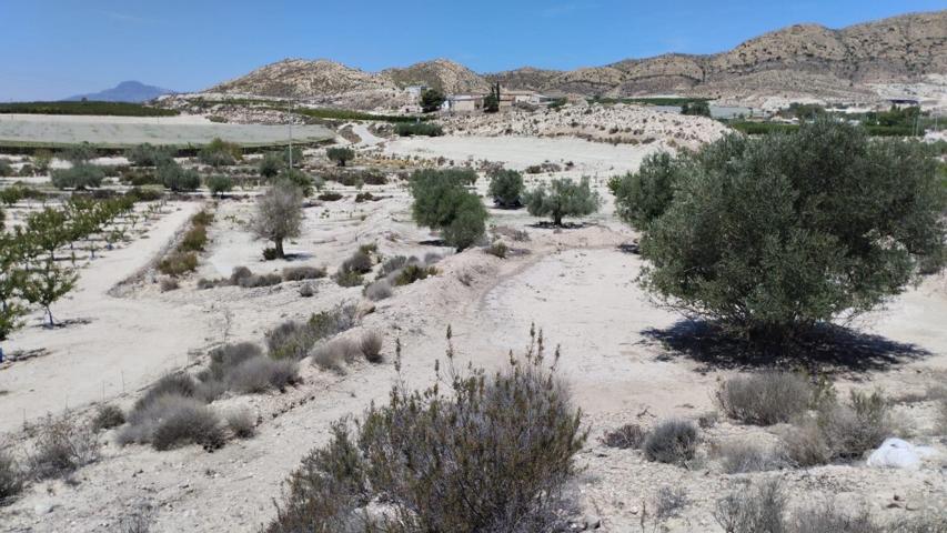 Terreno con Olivos - La Espada, Molina de Segura photo 0