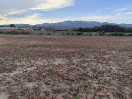 Terreno en Venta en el Torrejón - Totana photo 0