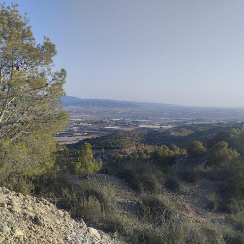 Vivienda en Monte Natural con Coto de Caza - Totana photo 0