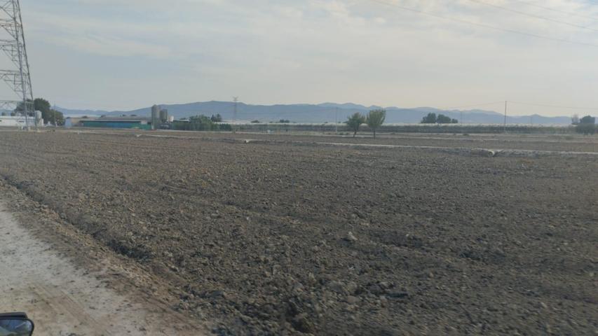 Terreno Rural - Lébor Bajo, Totana photo 0