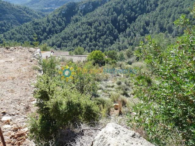 Parcela en venta en Oliva (Bellavista) photo 0