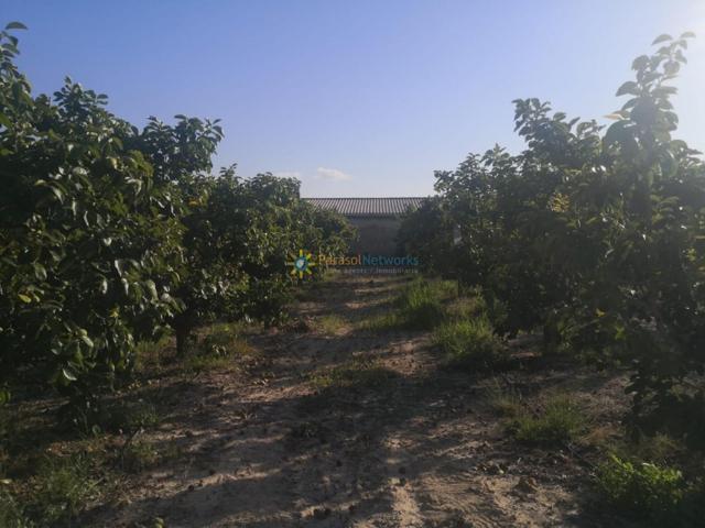 Terreno rural de venta en Albaida photo 0