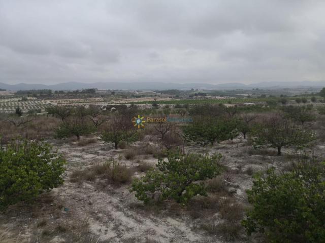 Parcela rustica de venta en Albaida photo 0