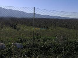Terreno de venta en Castellon de Rugat photo 0