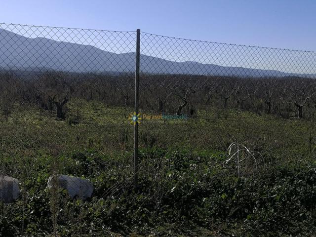 Terreno de venta en Castellon de Rugat photo 0