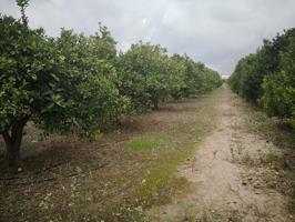 Terreno en venta en Rafelcofer photo 0