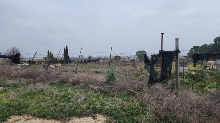 TERRENO EN TORRE-SERONA photo 0
