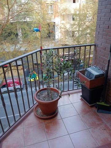 PISO BONITO EN CAPPONT photo 0