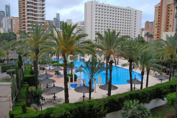 Piso en Rincon de Loix photo 0