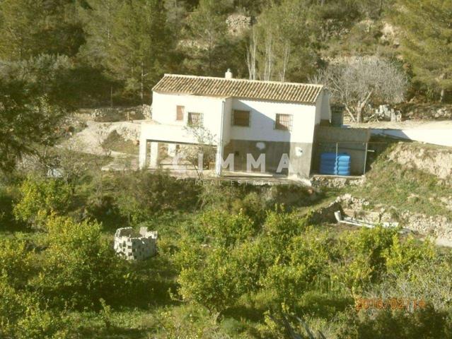 GRAN FINCA A LA VENTA photo 0