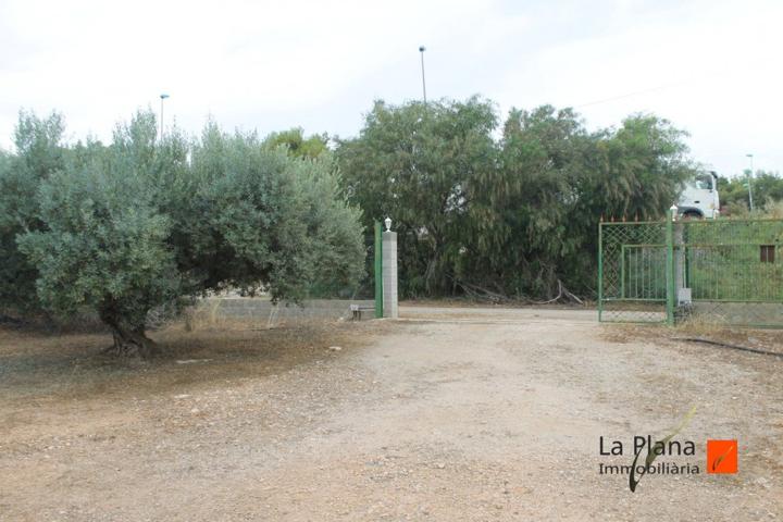 FINCA RUSTICA DE OLIVOS EN VENTA EN LA ALDEA (TARRAGONA) photo 0