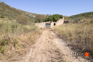 FINCA RUSTICA CON CASETA EN VENTA EN MAS DE BARBERANS (TARRAGONA) photo 0