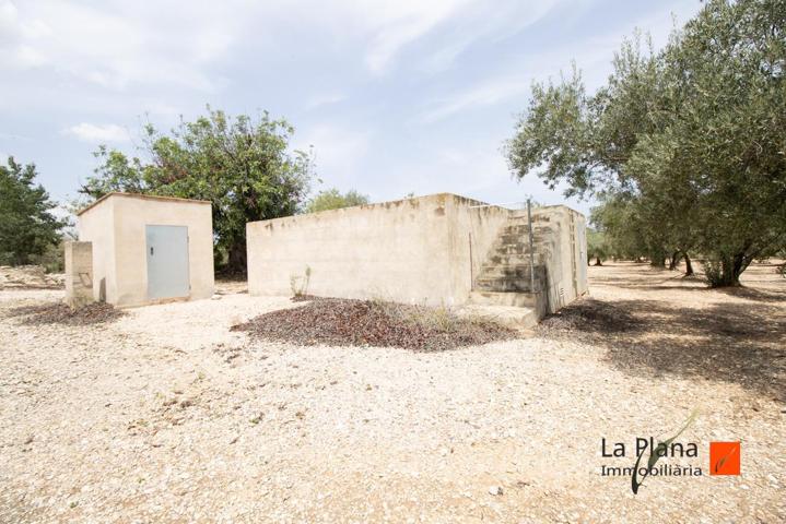 FINCA DE REGADIO EN VENTA EN SANTA BARBARA (TARRAGONA) photo 0