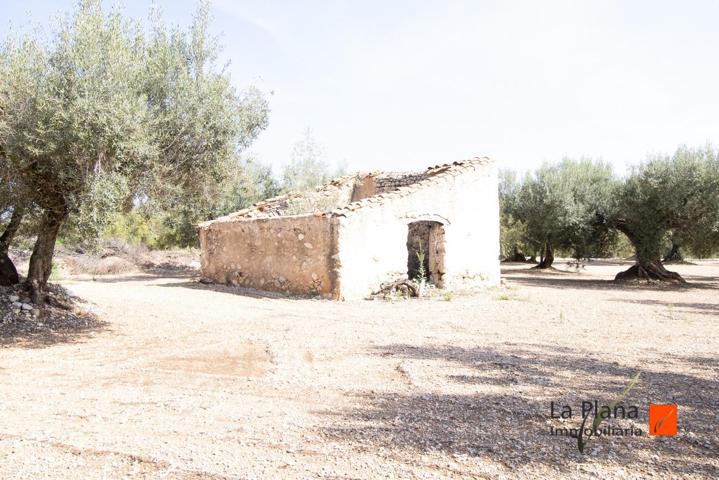 FINCA EL PELOS EN VENTA EN LA GALERA (TARRAGONA) photo 0