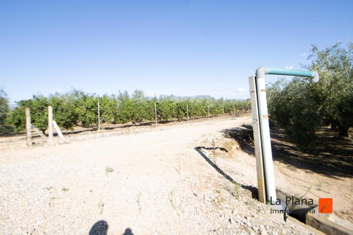 FINCA DE REGADIO EN VENTA EN LES COVES, SANTA BARBARA (TARRAGONA) photo 0
