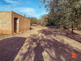 FINCA RUSTICA CON CASETA EN VENTA EN SANTA BARBARA (TARRAGONA) photo 0