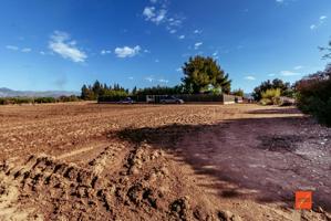 FINCA RUSTICA CON CASA EN VENTA EN SANTA BARBARA (TARRAGONA) photo 0