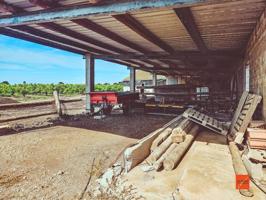 FINCA RUSTICA CON NAVE AGRICOLA EN VENTA EN SANTA BARBARA (TARRAGONA) photo 0