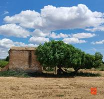 FINCA RUSTICA CON CASA EN VENTA EN VINALLOP (TORTOSA) photo 0