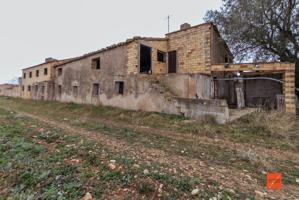 FINCA CON GRANJAS EN VENTA EN ULLDECONA (TARRAGONA) photo 0
