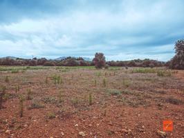 FINCA RUSTICA EN VENTA EN SANTA BARBARA (TARRAGONA) photo 0