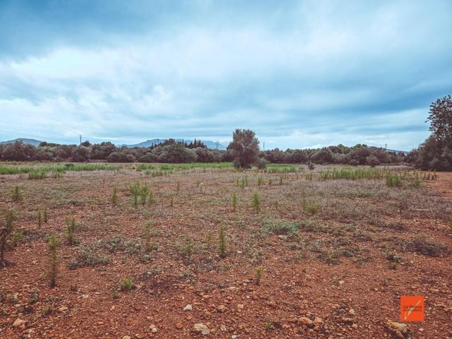 FINCA RUSTICA EN VENTA EN SANTA BARBARA (TARRAGONA) photo 0