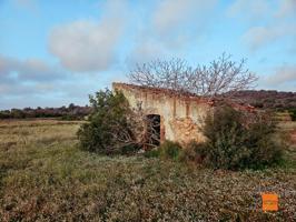 FINCA RÚSTICA EN VENTA EN ULLDECONA (TARRAGONA) photo 0