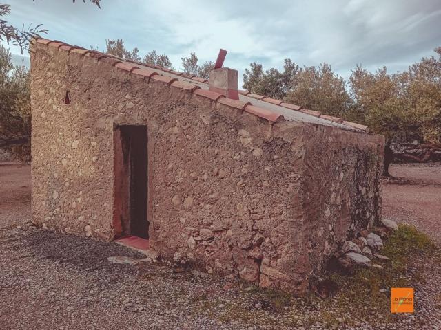 FINCA RUSTICA CON CASETA EN VENTA EN SANTA BARBARA (TARRAGONA) photo 0
