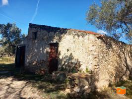FINCA RUSTICA CON DOS CASAS EN VENTA EN MAS DE BARBERANS (TARRAGONA) photo 0