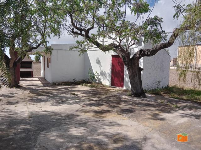 FINCA RUSTICA DE ARROZALES CON CASA EN PLANTA BAJA EN VENTA EN SANT JAUME D'ENVEJA (TARRAGONA) photo 0