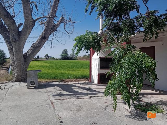 FINCA RUSTICA DE ARROZALES CON CASA EN PLANTA BAJA EN VENTA EN SANT JAUME D'ENVEJA (TARRAGONA) photo 0