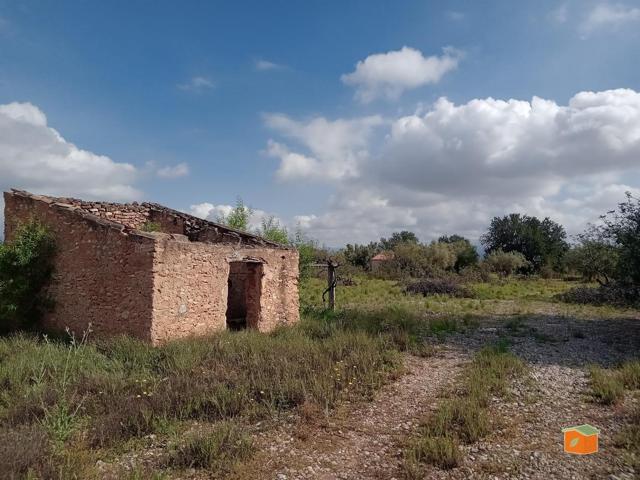 FINCA RUSTICA CON CASETA EN VENTA EN SANTA BARBARA (TARRAGONA) photo 0