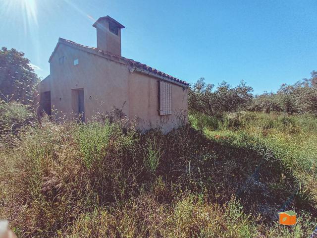 CASA RUSTICA CON TERRENO EN VENTA EN GODALL (TARRAGONA) photo 0