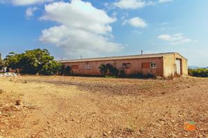 FINCA RUSTICA CON CASA Y GRANJAS EN VENTA EN MASDENVERGE (TARRAGONA) photo 0