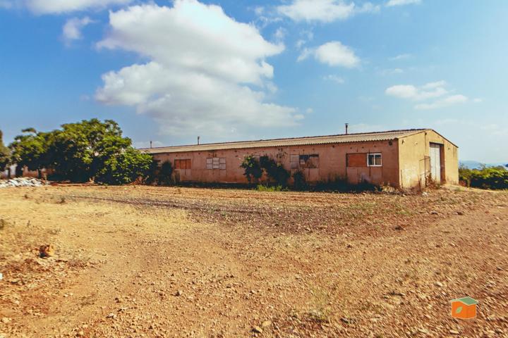 FINCA RUSTICA CON CASA Y GRANJAS EN VENTA EN MASDENVERGE (TARRAGONA) photo 0